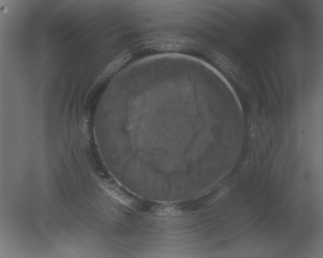 X0000080750258200701122011