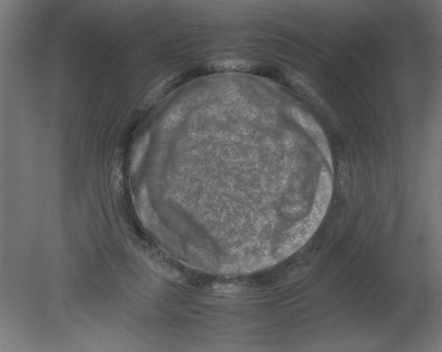 X0000080750259200701122011