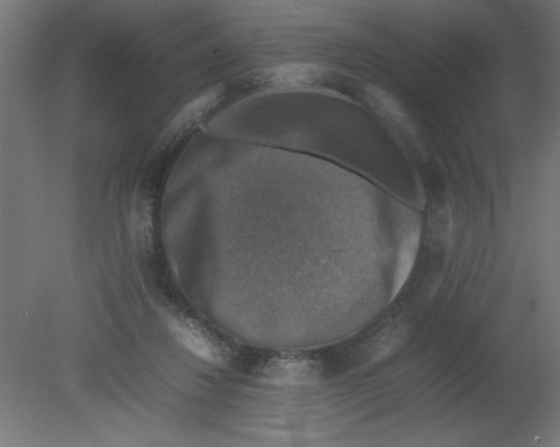 X0000080750260200701122011