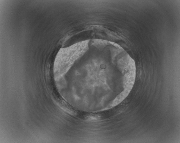 X0000080750263200701122011