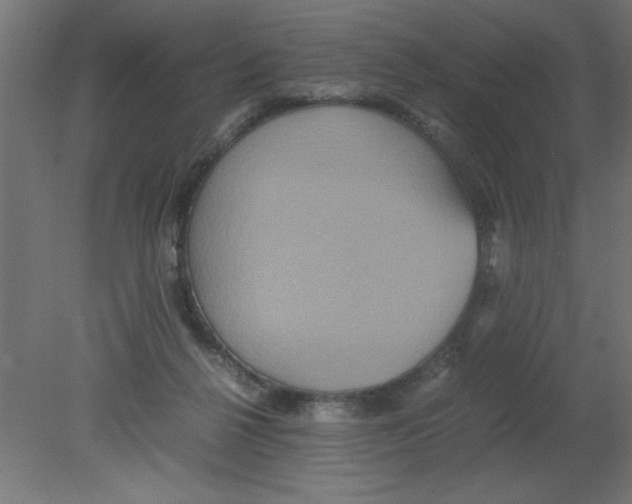 X0000080750264200701122011