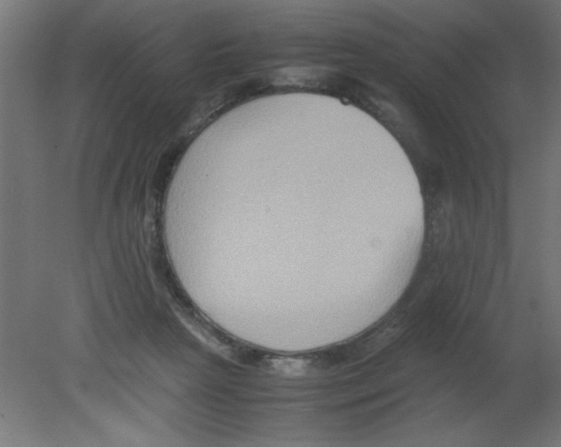 X0000080750265200701122011