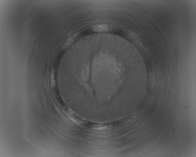 X0000080750267200701122011