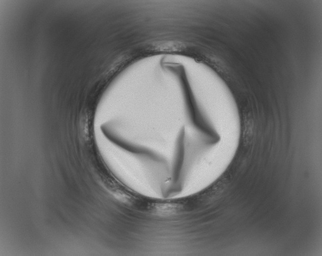 X0000080750268200701122011