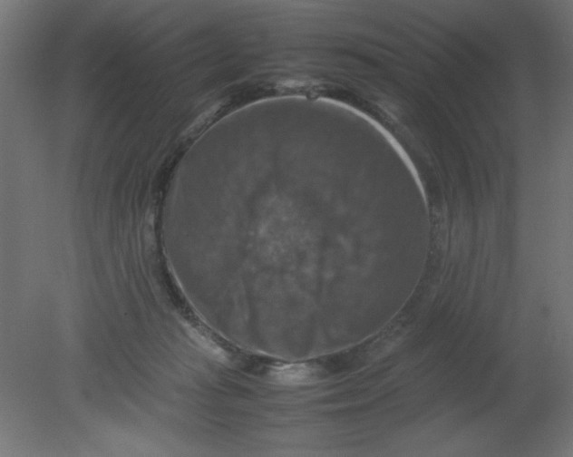 X0000080750269200701122011