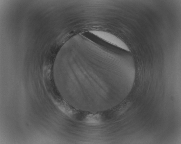 X0000080750271200701122011