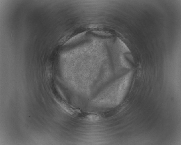 X0000080750272200701122011