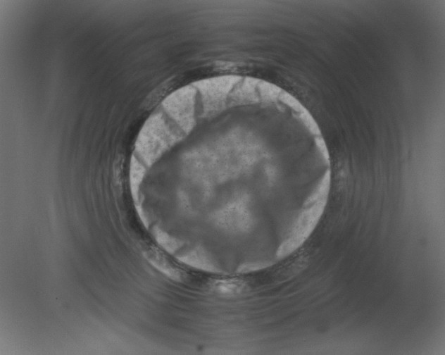 X0000080750275200701122011