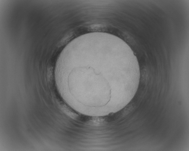 X0000080750278200701122011