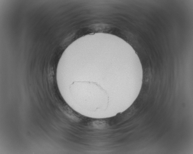 X0000080750279200701122011