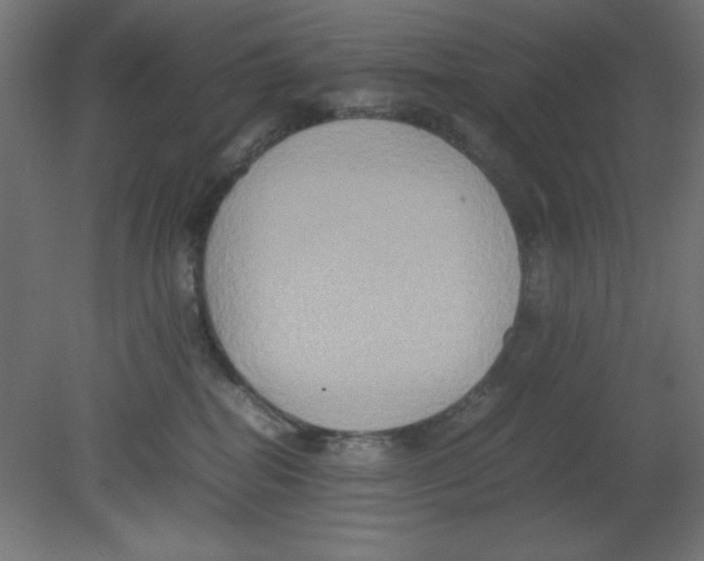 X0000080750282200701122011