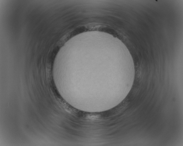 X0000080750283200701122011