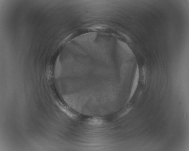 X0000080750284200701122011