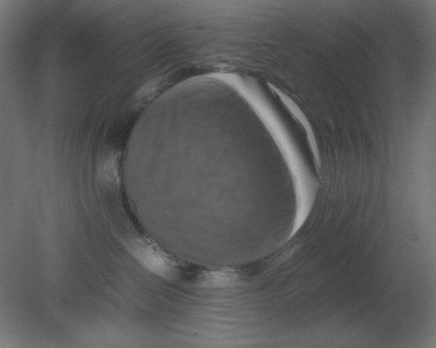 X0000080750286200701122011