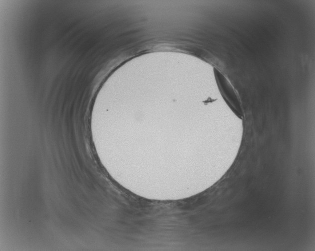 X0000080750289200701122010