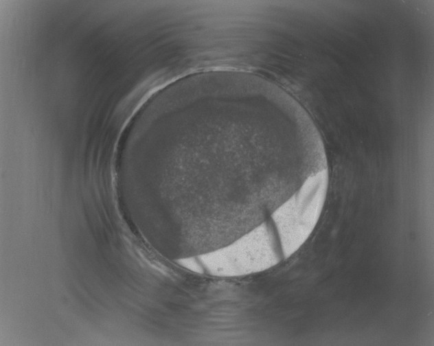 X0000080750290200701122010