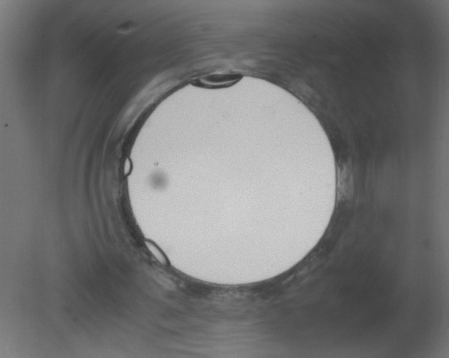 X0000080750291200701122010