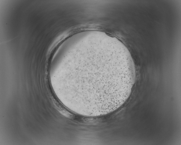 X0000080750293200701122010