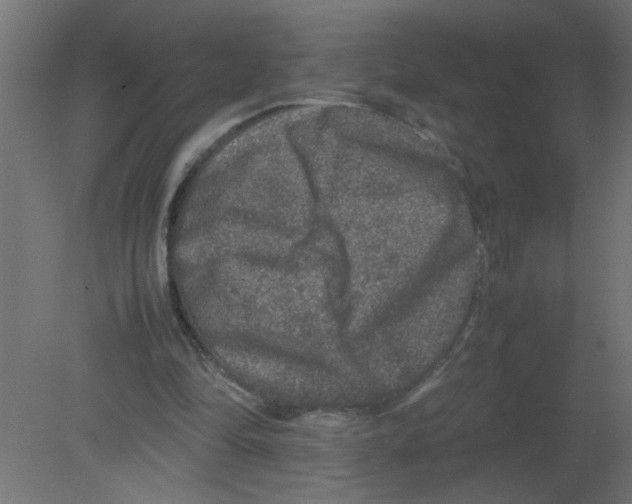 X0000080750294200701122010