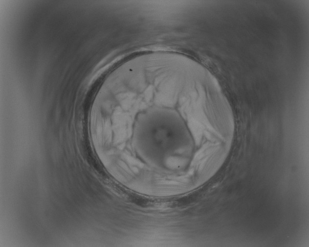 X0000080750295200701122010