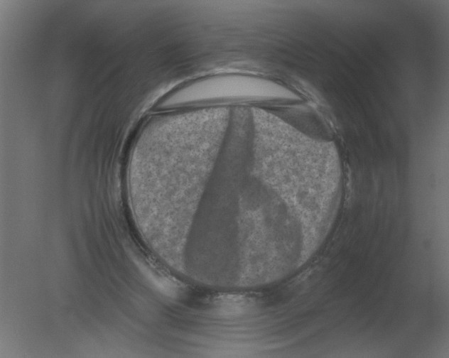 X0000080750298200701122010