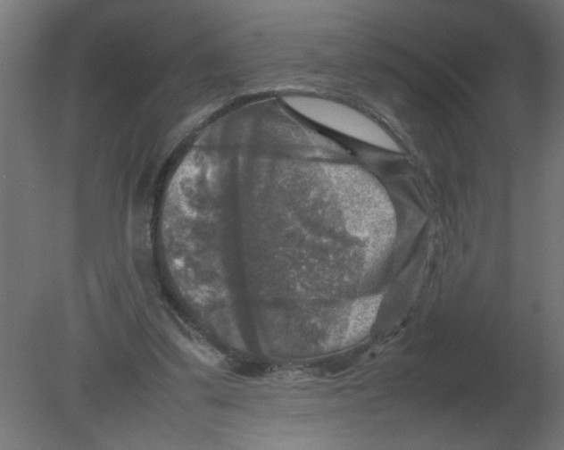 X0000080750299200701122010