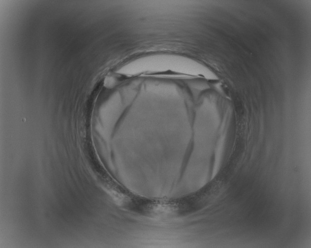 X0000080750303200701122010