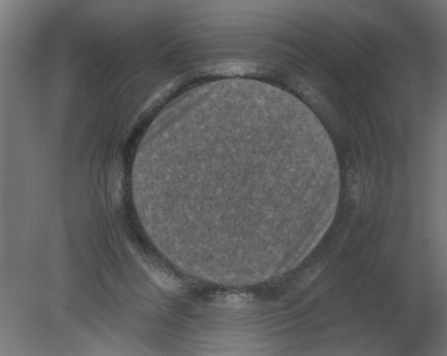 X0000080750304200701122010