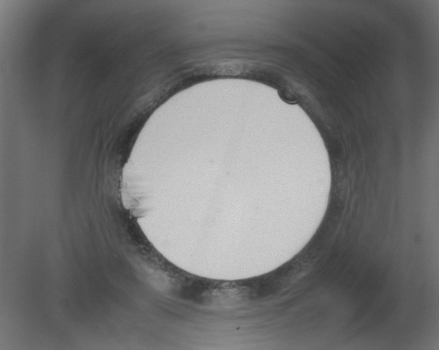 X0000080750307200701122010