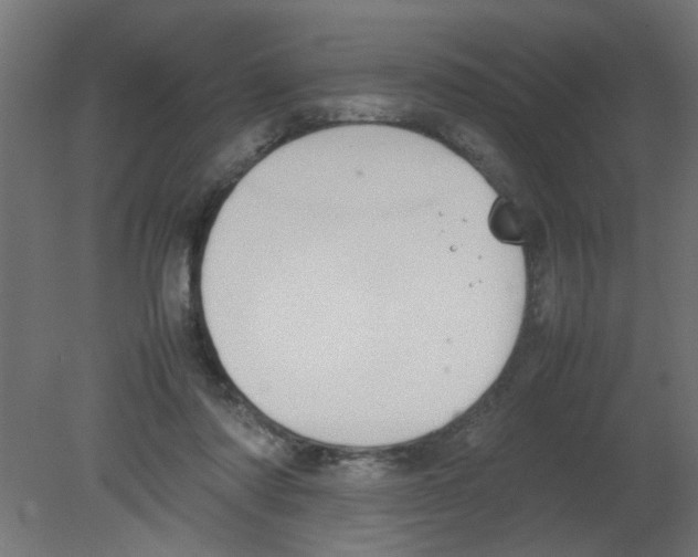 X0000080750310200701122010