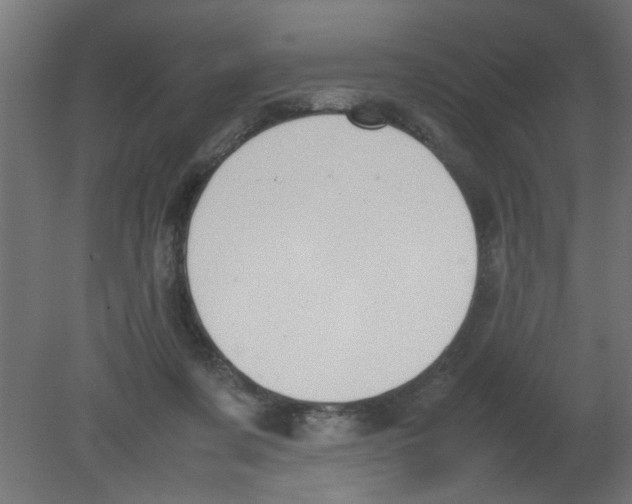 X0000080750311200701122010