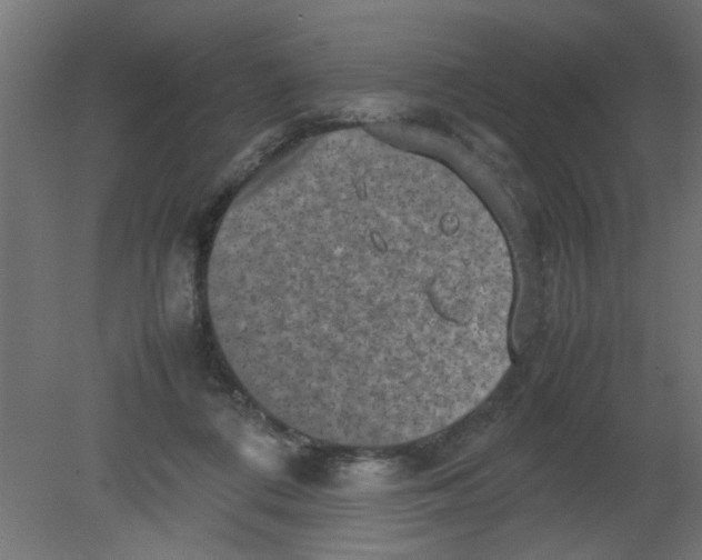 X0000080750312200701122010