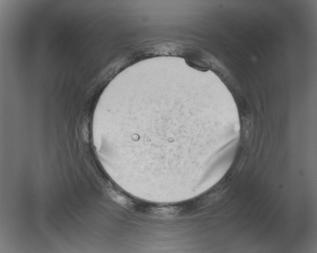 X0000080750313200701122010