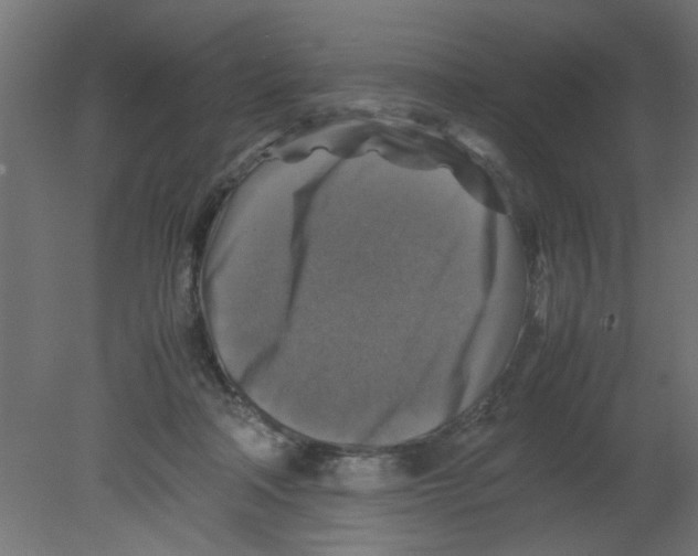 X0000080750314200701122010