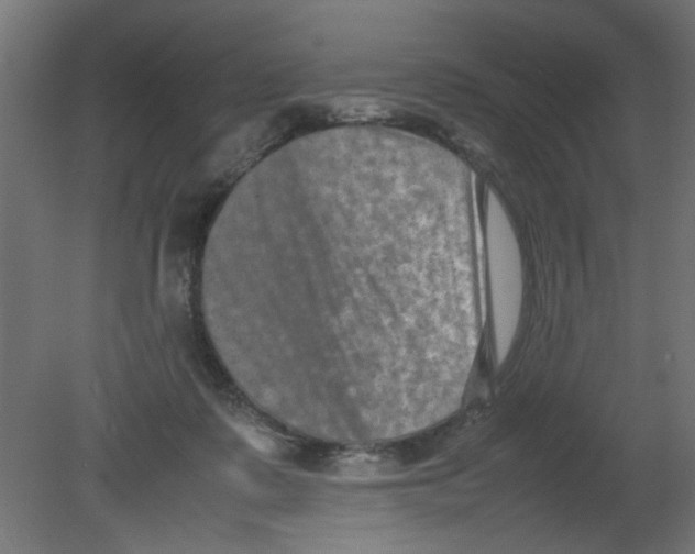 X0000080750315200701122010