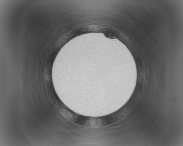 X0000080750317200701122010