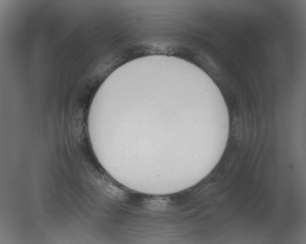 X0000080750318200701122010