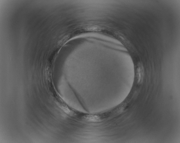 X0000080750322200701122010