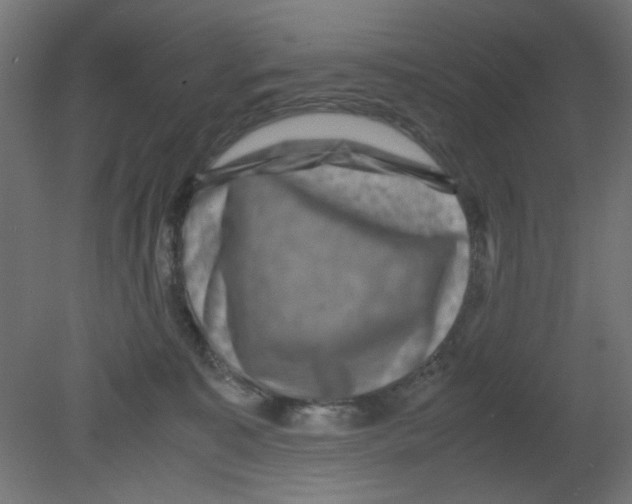 X0000080750323200701122010