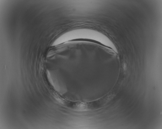 X0000080750325200701122010