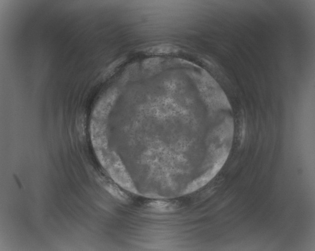 X0000080750326200701122010