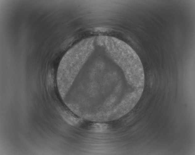 X0000080750328200701122010