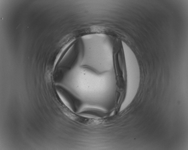 X0000080750329200701122010