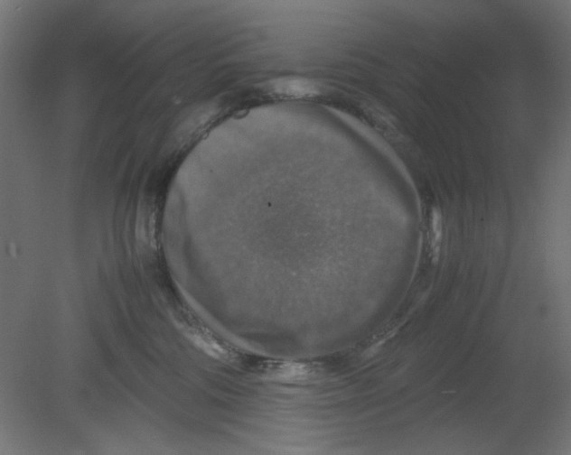 X0000080750330200701122010