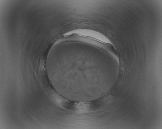 X0000080750331200701122009