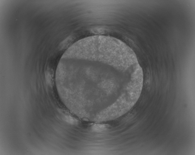 X0000080750332200701122009