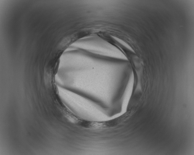 X0000080750333200701122009