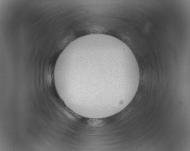 X0000080750334200701122009