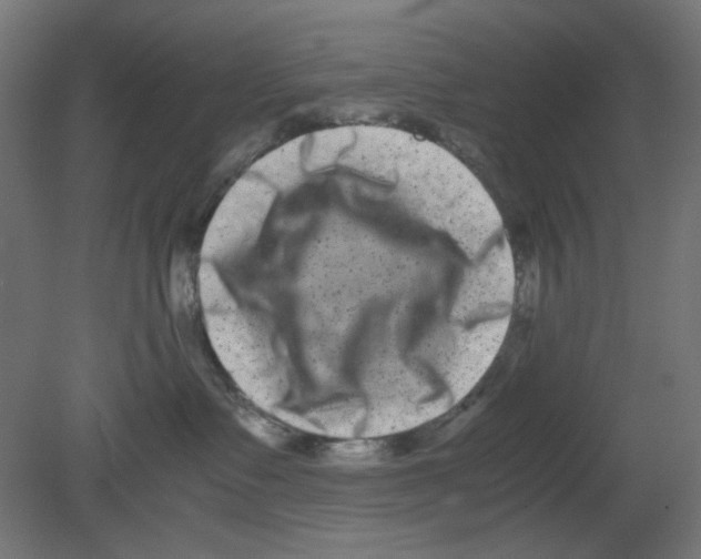 X0000080750335200701122009