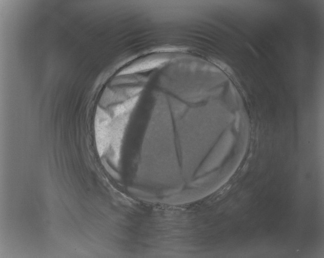 X0000080750337200701122009